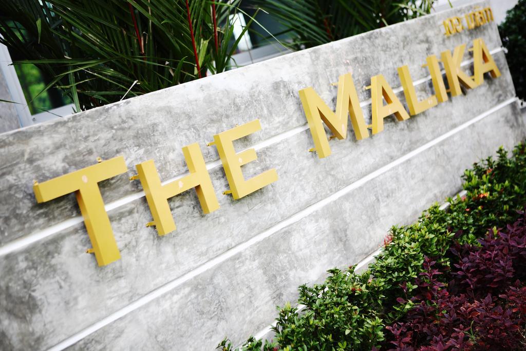 The Malika - Sha Extra